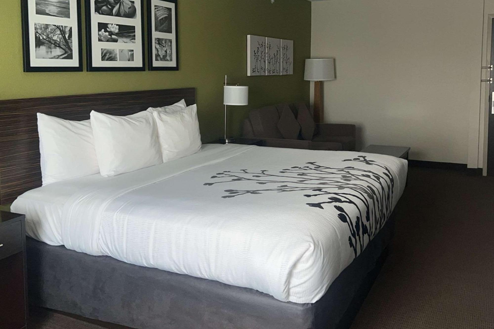 Sleep Inn & Suites Jourdanton - Pleasanton Exteriör bild